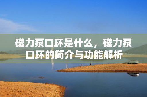 磁力泵口环是什么，磁力泵口环的简介与功能解析