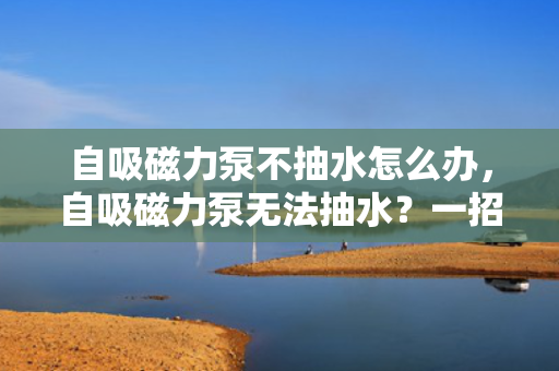自吸磁力泵不抽水怎么办，自吸磁力泵无法抽水？一招解决故障！