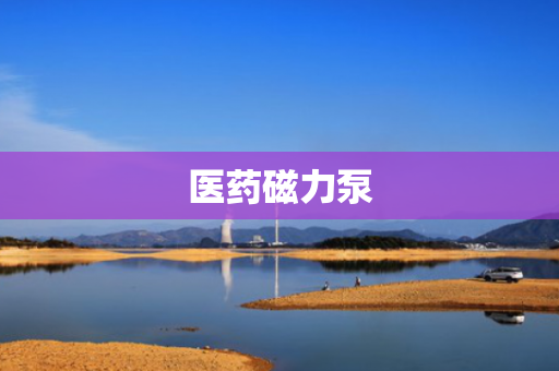 医药磁力泵