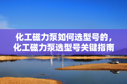 化工磁力泵如何选型号的，化工磁力泵选型号关键指南：一步到位的选型策略
