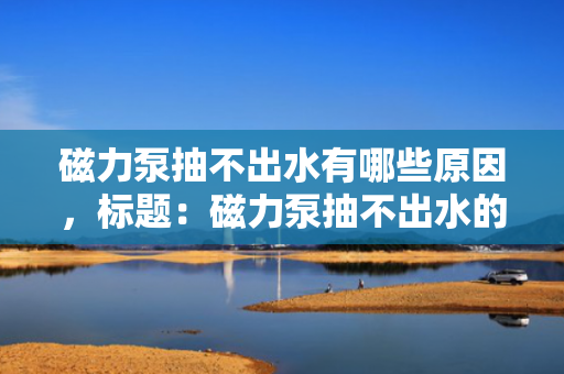 磁力泵抽不出水有哪些原因，标题：磁力泵抽不出水的原因分析