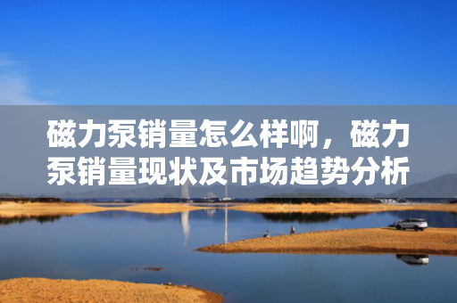 磁力泵销量怎么样啊，磁力泵销量现状及市场趋势分析