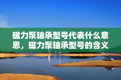 磁力泵轴承型号代表什么意思，磁力泵轴承型号的含义及解读