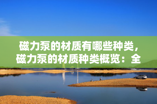 磁力泵的材质有哪些种类，磁力泵的材质种类概览：全面解析不同应用场景下的优选材料