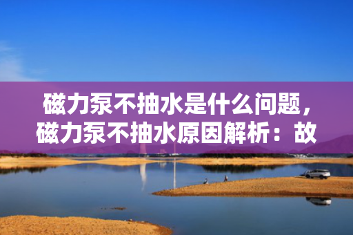 磁力泵不抽水是什么问题，磁力泵不抽水原因解析：故障排查与解决方案