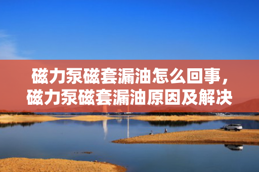 磁力泵磁套漏油怎么回事，磁力泵磁套漏油原因及解决方法