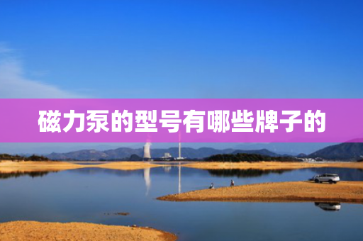 磁力泵的型号有哪些牌子的