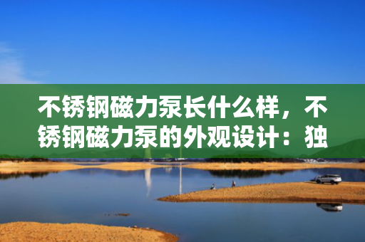 不锈钢磁力泵长什么样，不锈钢磁力泵的外观设计：独特结构与卓越性能的完美融合