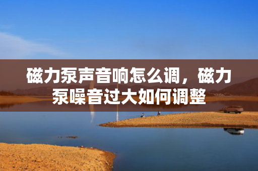 磁力泵声音响怎么调，磁力泵噪音过大如何调整