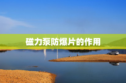 磁力泵防爆片的作用