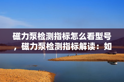 磁力泵检测指标怎么看型号，磁力泵检测指标解读：如何根据型号判断性能