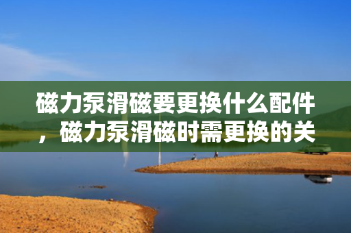 磁力泵滑磁要更换什么配件，磁力泵滑磁时需更换的关键配件：磁性联轴器组件
