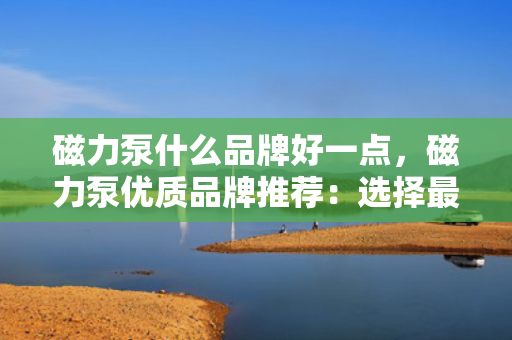 磁力泵什么品牌好一点，磁力泵优质品牌推荐：选择最佳合作伙伴的关键指南