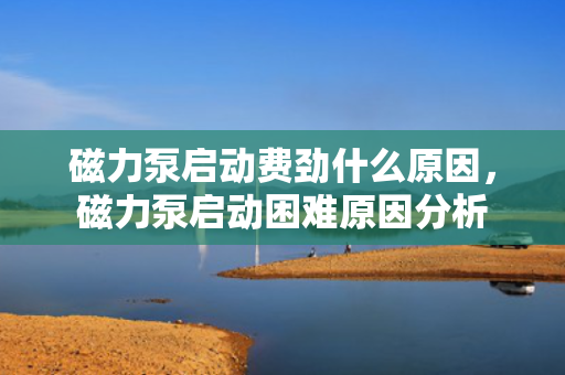 磁力泵启动费劲什么原因，磁力泵启动困难原因分析