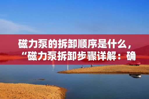 磁力泵的拆卸顺序是什么，“磁力泵拆卸步骤详解：确保安全、高效的拆卸流程”