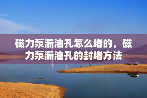 磁力泵漏油孔怎么堵的，磁力泵漏油孔的封堵方法