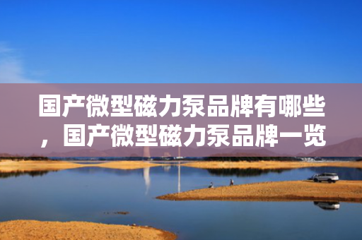 国产微型磁力泵品牌有哪些，国产微型磁力泵品牌一览：市场主流选择全解析