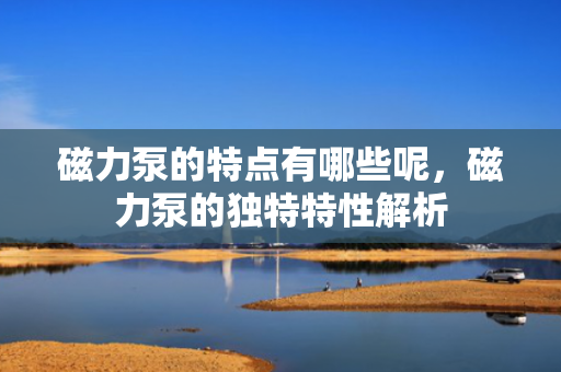 磁力泵的特点有哪些呢，磁力泵的独特特性解析