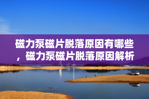 磁力泵磁片脱落原因有哪些，磁力泵磁片脱落原因解析