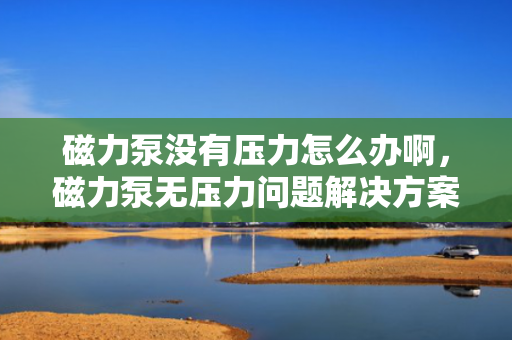 磁力泵没有压力怎么办啊，磁力泵无压力问题解决方案