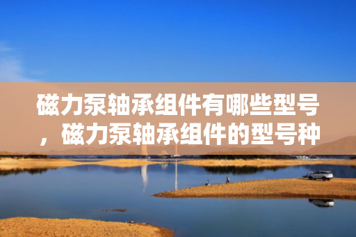 磁力泵轴承组件有哪些型号，磁力泵轴承组件的型号种类概览