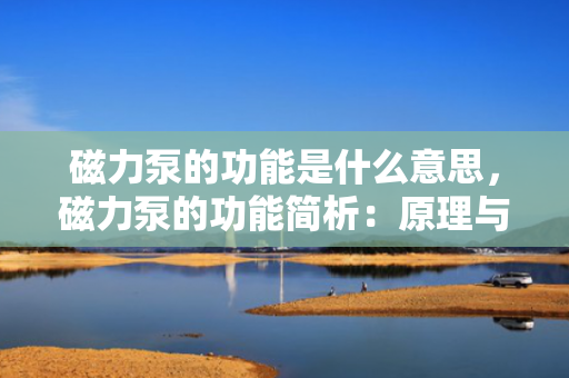 磁力泵的功能是什么意思，磁力泵的功能简析：原理与应用介绍