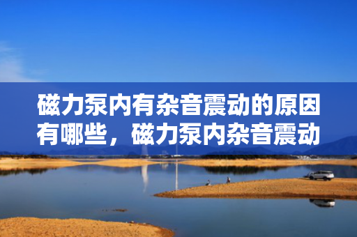 磁力泵内有杂音震动的原因有哪些，磁力泵内杂音震动原因解析