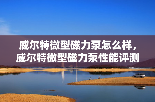 威尔特微型磁力泵怎么样，威尔特微型磁力泵性能评测及用户反馈