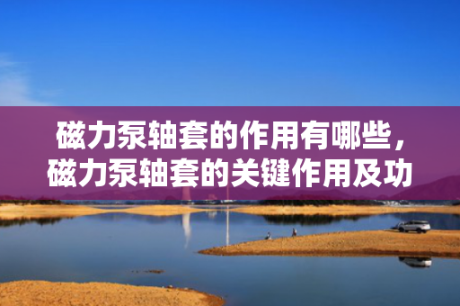 磁力泵轴套的作用有哪些，磁力泵轴套的关键作用及功能解析
