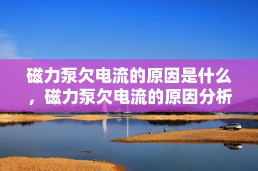 磁力泵欠电流的原因是什么，磁力泵欠电流的原因分析