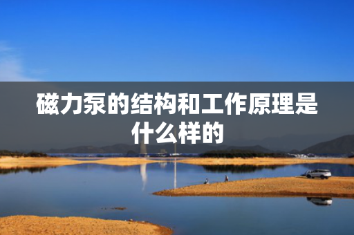 磁力泵的结构和工作原理是什么样的