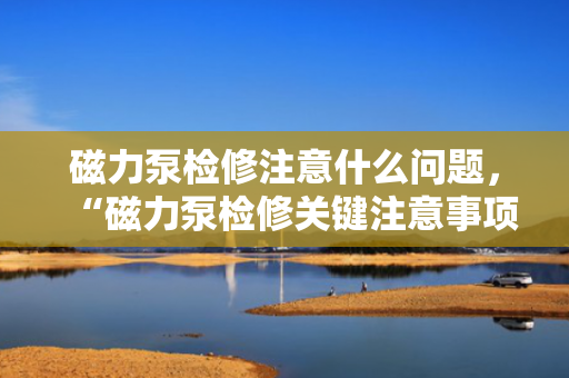 磁力泵检修注意什么问题，“磁力泵检修关键注意事项”
