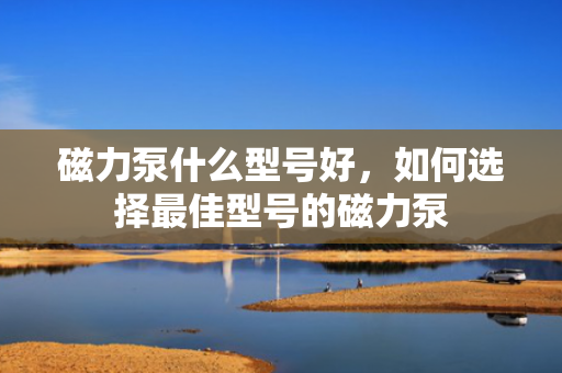 磁力泵什么型号好，如何选择最佳型号的磁力泵