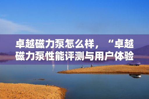 卓越磁力泵怎么样，“卓越磁力泵性能评测与用户体验”
