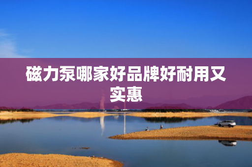 磁力泵哪家好品牌好耐用又实惠