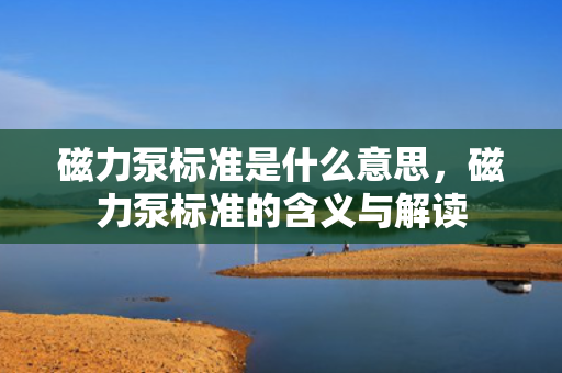 磁力泵标准是什么意思，磁力泵标准的含义与解读