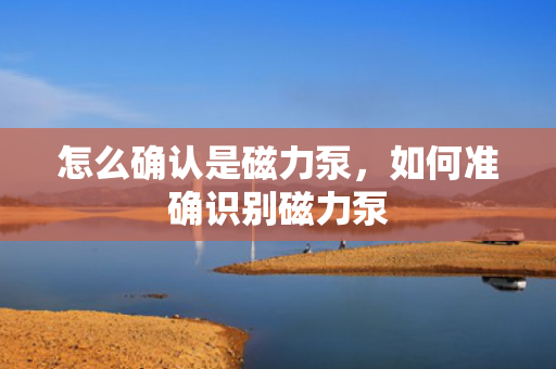 怎么确认是磁力泵，如何准确识别磁力泵