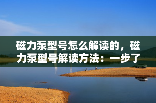 磁力泵型号怎么解读的，磁力泵型号解读方法：一步了解如何准确识别磁力泵型号