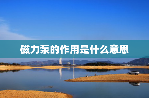 磁力泵的作用是什么意思