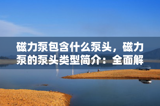 磁力泵包含什么泵头，磁力泵的泵头类型简介：全面解析磁力泵所包含的泵头种类
