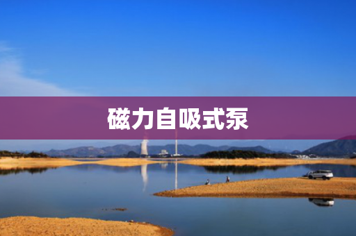 磁力自吸式泵