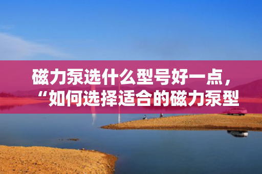 磁力泵选什么型号好一点，“如何选择适合的磁力泵型号：关键指南与实用建议”