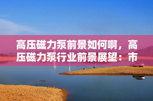 高压磁力泵前景如何啊，高压磁力泵行业前景展望：市场潜力与发展趋势