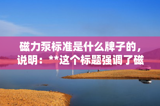 磁力泵标准是什么牌子的，说明：**这个标题强调了磁力泵标准是跨品牌的行业规范，并且突出了在选择磁力泵时，质量应是最重要的考量因素。不过，请注意，这个标题可能不完全符合您内容的重点，因为您提供的信息较为有限。如果内容主要围绕某一特定品牌的磁力泵标准展开，那么标题应相应地进行调整以更准确地反映主题。