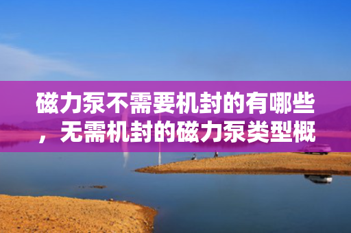 磁力泵不需要机封的有哪些，无需机封的磁力泵类型概览