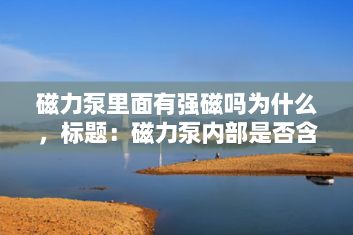 磁力泵里面有强磁吗为什么，标题：磁力泵内部是否含有强磁及其原因解析
