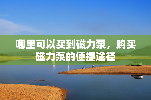 哪里可以买到磁力泵，购买磁力泵的便捷途径