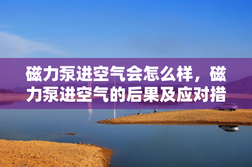 磁力泵进空气会怎么样，磁力泵进空气的后果及应对措施