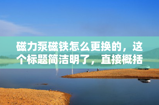 磁力泵磁铁怎么更换的，这个标题简洁明了，直接概括了文章的主题，即磁力泵磁铁的更换方法。希望符合您的要求。
