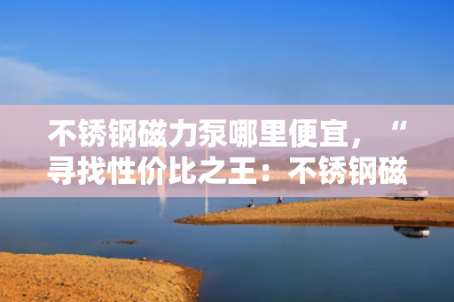 不锈钢磁力泵哪里便宜，“寻找性价比之王：不锈钢磁力泵哪里买最实惠？”